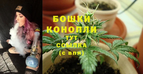 apvp Абаза