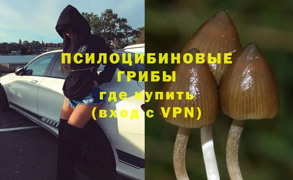хмурый Абинск